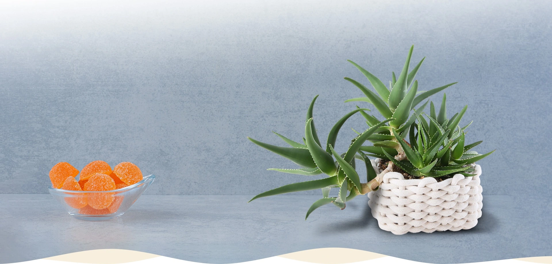 BEACH BAGS | GIFT BAGS | COSMETIC BAGS